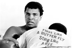 Float Like a Butterfly